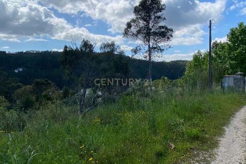 Helårsgrund i Serra, Santarem, Serra - € 8.000 | Ref: C0452-00460 - foto 10