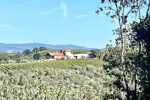 Farm i Montecchio, Terni, Montecchio - € 950.000 | Ref: AA25 - foto 1
