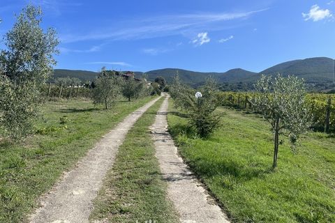 Farm i Montecchio, Terni, Montecchio - € 950.000 | Ref: AA25 - foto 2