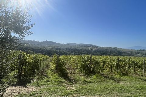 Farm i Montecchio, Terni, Montecchio - € 950.000 | Ref: AA25 - foto 3