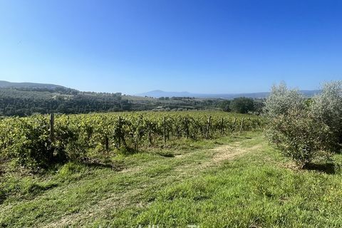 Farm i Montecchio, Terni, Montecchio - € 950.000 | Ref: AA25 - foto 4