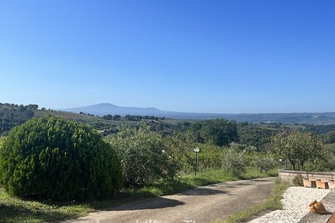 Farm i Montecchio, Terni, Montecchio - € 950.000 | Ref: AA25 - foto 5
