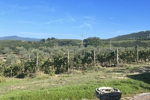 Farm i Montecchio, Terni, Montecchio - € 950.000 | Ref: AA25 - foto 7