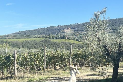 Farm i Montecchio, Terni, Montecchio - € 950.000 | Ref: AA25 - foto 9