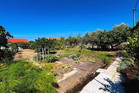 Villa i Tomar, Santarem, Tomar - € 525.000 | Ref: TL070 - foto 30