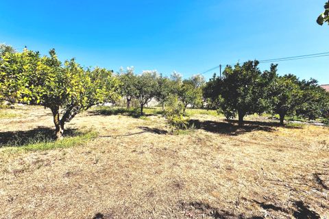 Villa i Tomar, Santarem, Tomar - € 525.000 | Ref: TL070 - foto 31