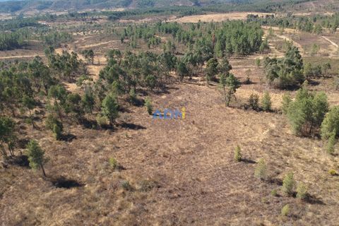Helårsgrund i Castelo Branco, Castelo Branco, Castelo Branco - € 26.000 | Ref: 125073 - foto 4