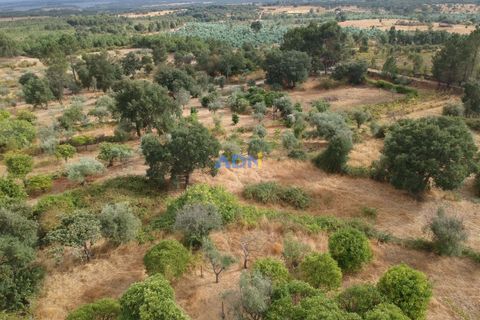 Farm hus i Castelo Branco, Castelo Branco, Castelo Branco - € 60.000 | Ref: 125098 - foto 3