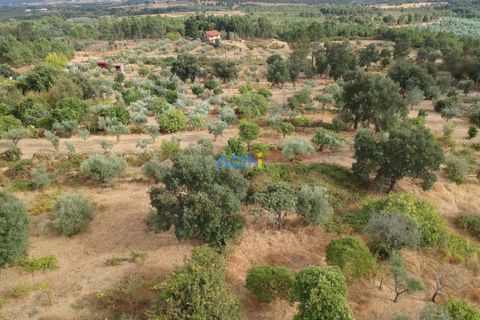 Farm hus i Castelo Branco, Castelo Branco, Castelo Branco - € 60.000 | Ref: 125098 - foto 5