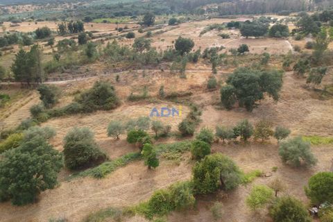 Farm hus i Castelo Branco, Castelo Branco, Castelo Branco - € 60.000 | Ref: 125098 - foto 6