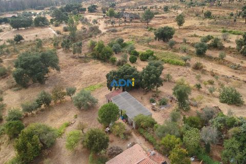 Farm hus i Castelo Branco, Castelo Branco, Castelo Branco - € 60.000 | Ref: 125098 - foto 7