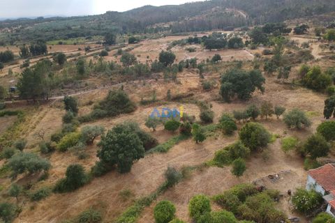 Farm hus i Castelo Branco, Castelo Branco, Castelo Branco - € 60.000 | Ref: 125098 - foto 9