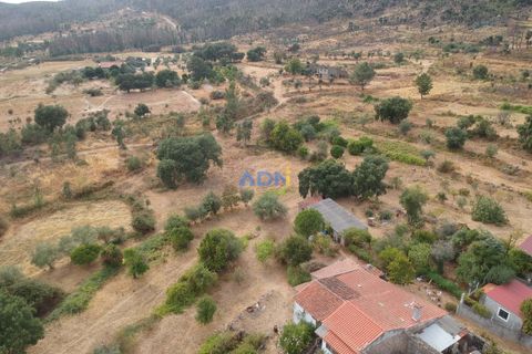 Farm hus i Castelo Branco, Castelo Branco, Castelo Branco - € 60.000 | Ref: 125098 - foto 11
