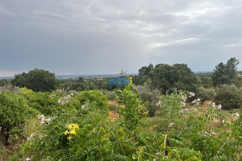 Farm hus i Castelo Branco, Castelo Branco, Castelo Branco - € 60.000 | Ref: 125098 - foto 21