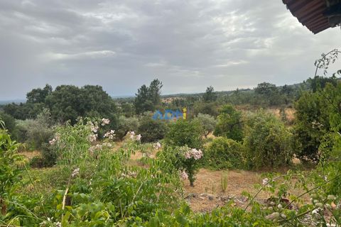Farm hus i Castelo Branco, Castelo Branco, Castelo Branco - € 60.000 | Ref: 125098 - foto 22