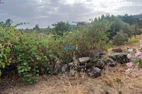 Farm hus i Castelo Branco, Castelo Branco, Castelo Branco - € 60.000 | Ref: 125098 - foto 23