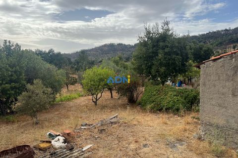 Farm hus i Castelo Branco, Castelo Branco, Castelo Branco - € 60.000 | Ref: 125098 - foto 24