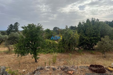 Farm hus i Castelo Branco, Castelo Branco, Castelo Branco - € 60.000 | Ref: 125098 - foto 25