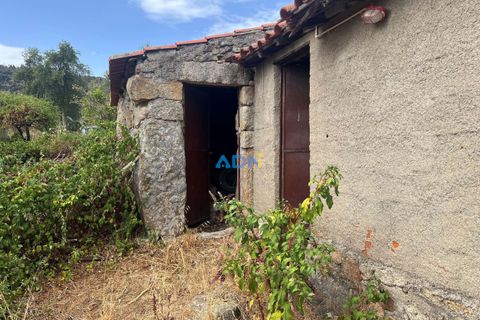 Farm hus i Castelo Branco, Castelo Branco, Castelo Branco - € 60.000 | Ref: 125098 - foto 30
