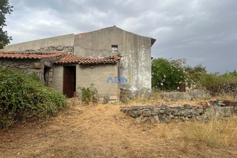 Farm hus i Castelo Branco, Castelo Branco, Castelo Branco - € 60.000 | Ref: 125098 - foto 31