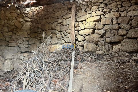 Farm hus i Castelo Branco, Castelo Branco, Castelo Branco - € 60.000 | Ref: 125098 - foto 35