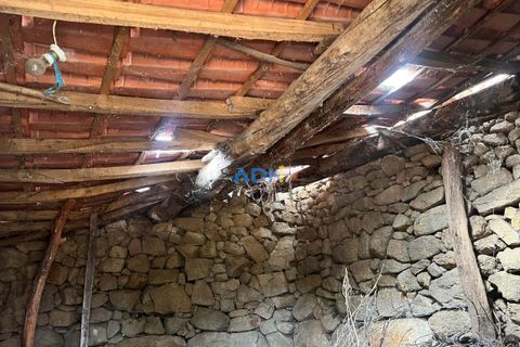 Farm hus i Castelo Branco, Castelo Branco, Castelo Branco - € 60.000 | Ref: 125098 - foto 36