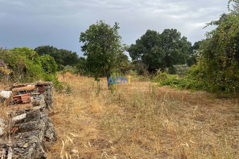 Farm hus i Castelo Branco, Castelo Branco, Castelo Branco - € 60.000 | Ref: 125098 - foto 37
