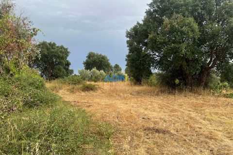 Farm hus i Castelo Branco, Castelo Branco, Castelo Branco - € 60.000 | Ref: 125098 - foto 38