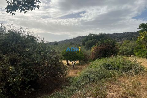 Farm hus i Castelo Branco, Castelo Branco, Castelo Branco - € 60.000 | Ref: 125098 - foto 43