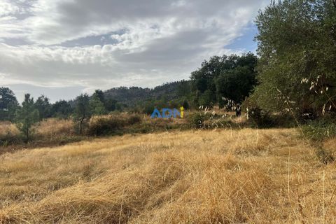 Farm hus i Castelo Branco, Castelo Branco, Castelo Branco - € 60.000 | Ref: 125098 - foto 44
