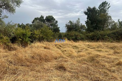 Farm hus i Castelo Branco, Castelo Branco, Castelo Branco - € 60.000 | Ref: 125098 - foto 46