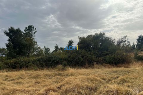 Farm hus i Castelo Branco, Castelo Branco, Castelo Branco - € 60.000 | Ref: 125098 - foto 47