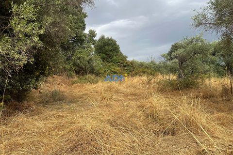 Farm hus i Castelo Branco, Castelo Branco, Castelo Branco - € 60.000 | Ref: 125098 - foto 49