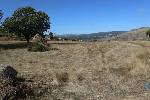 Byhus i Guarda, Guarda, Guarda - € 94.000 | Ref: 65065 - foto 6