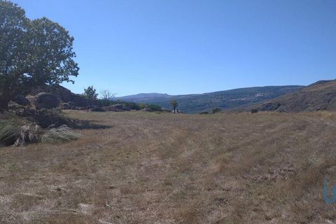Byhus i Guarda, Guarda, Guarda - € 94.000 | Ref: 65065 - foto 12