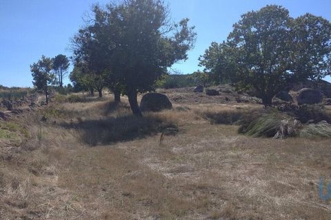 Byhus i Guarda, Guarda, Guarda - € 94.000 | Ref: 65065 - foto 13