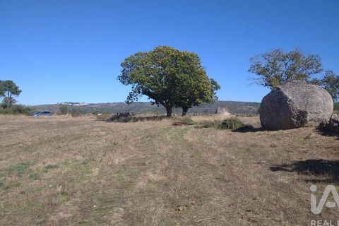 Byhus i Guarda, Guarda, Guarda - € 94.000 | Ref: 65065 - foto 22