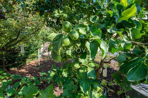 Villa i Sanremo, Imperia, Sanremo - € 750.000 | Ref: 5732 - foto 15