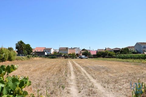 Terra a Ovar, Aveiro, Ovar - € 135.000 | Ref: 125667 - foto 2