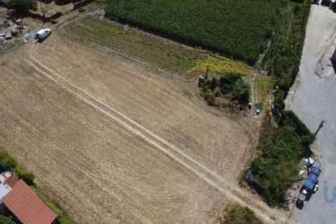 Terra a Ovar, Aveiro, Ovar - € 135.000 | Ref: 125667 - foto 3