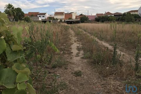 Terra a Ovar, Aveiro, Ovar - € 135.000 | Ref: 125667 - foto 4