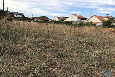 Terra a Ovar, Aveiro, Ovar - € 135.000 | Ref: 125667 - foto 5