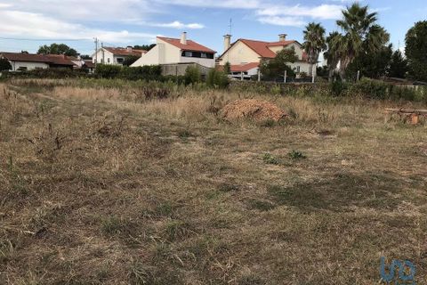 Terra a Ovar, Aveiro, Ovar - € 135.000 | Ref: 125667 - foto 7