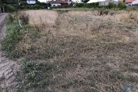 Terra a Ovar, Aveiro, Ovar - € 135.000 | Ref: 125667 - foto 8