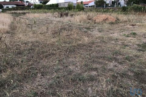 Terra a Ovar, Aveiro, Ovar - € 135.000 | Ref: 125667 - foto 12