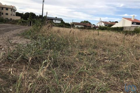Terra a Ovar, Aveiro, Ovar - € 135.000 | Ref: 125667 - foto 13
