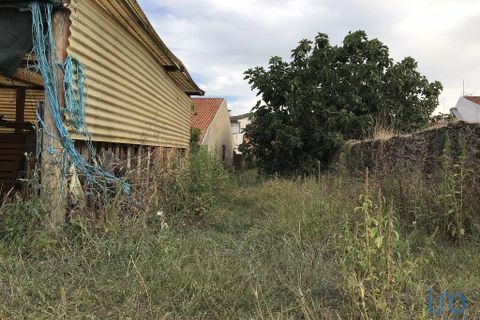 Terra a Ovar, Aveiro, Ovar - € 135.000 | Ref: 125667 - foto 14