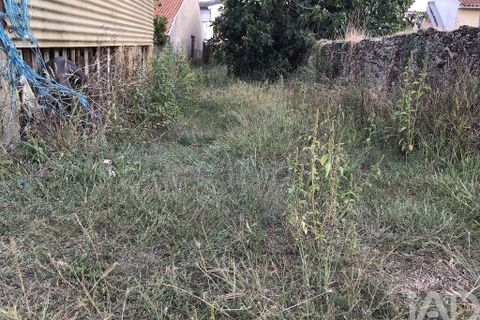 Terra a Ovar, Aveiro, Ovar - € 135.000 | Ref: 125667 - foto 16