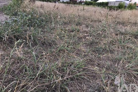 Terra a Ovar, Aveiro, Ovar - € 135.000 | Ref: 125667 - foto 17