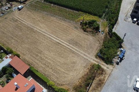 Terra a Ovar, Aveiro, Ovar - € 135.000 | Ref: 125667 - foto 18